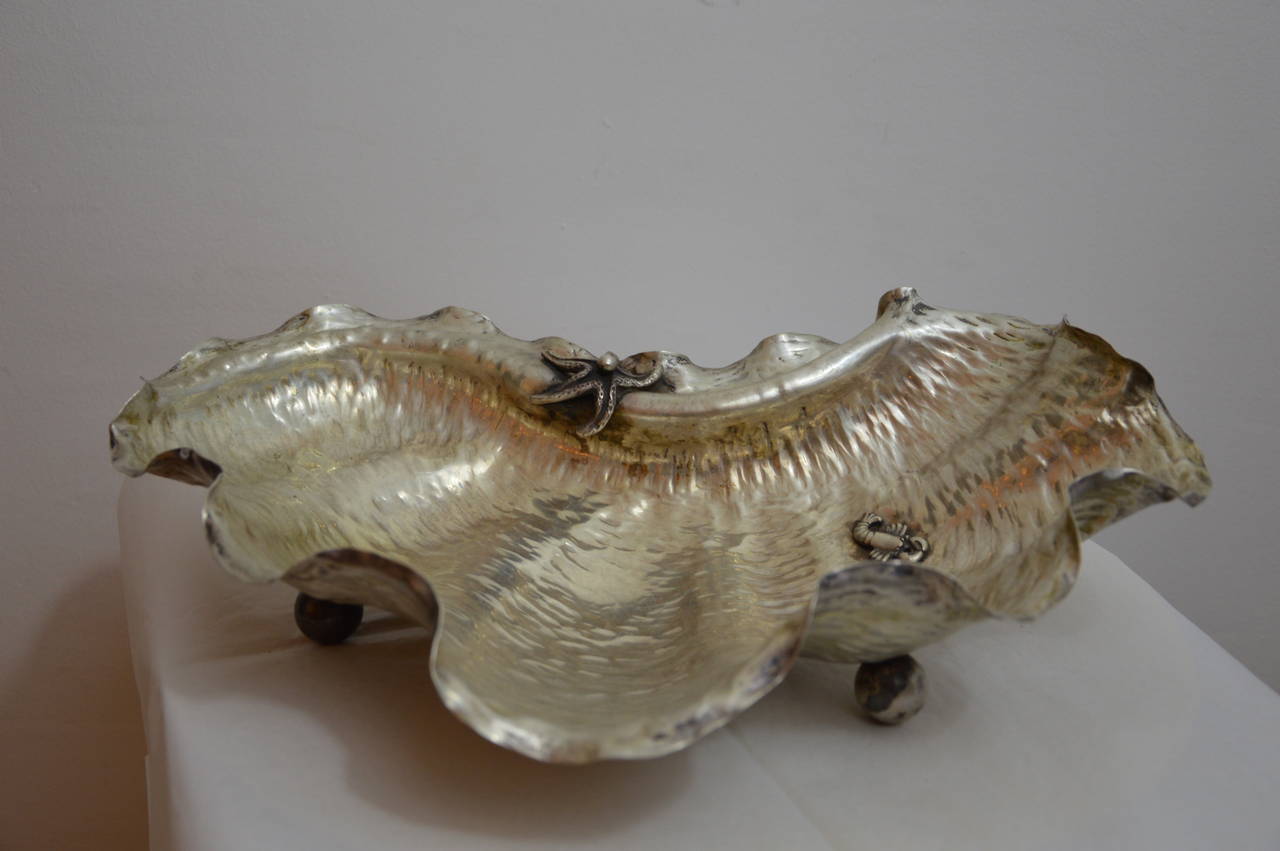 Scalop fruits bowl or table centerpiece in massive argent