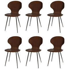 Set of 6 chairs by Luigi Ratti with veneer of mahogany and black steel feet