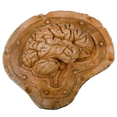 Vintage Human Half Brain Anatomical "maître modele" in Plaster, Auzoux
