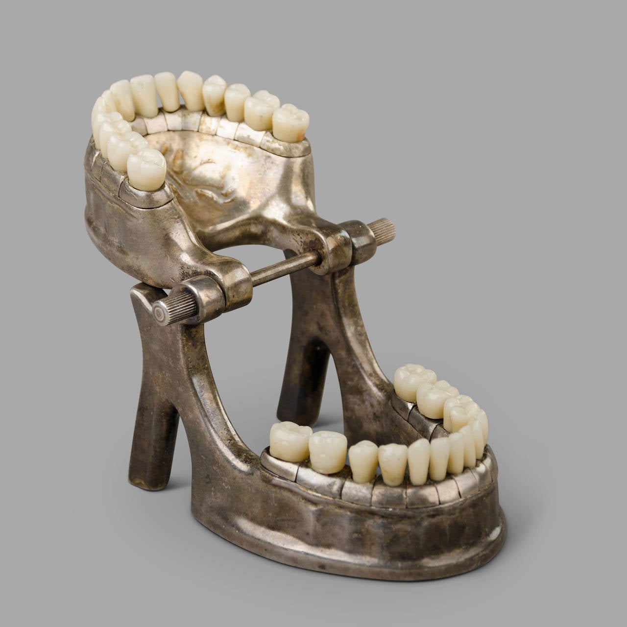 French Vecabe Dental Model In Good Condition In Saint-Ouen, FR