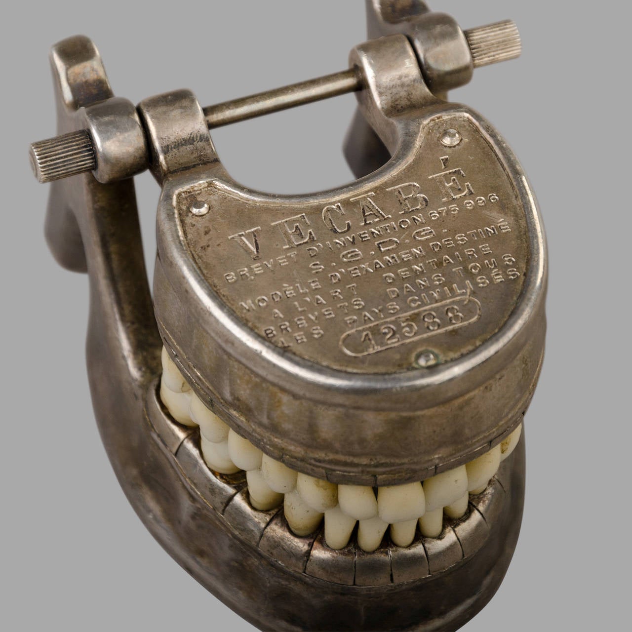 Mid-20th Century French Vecabe Dental Model