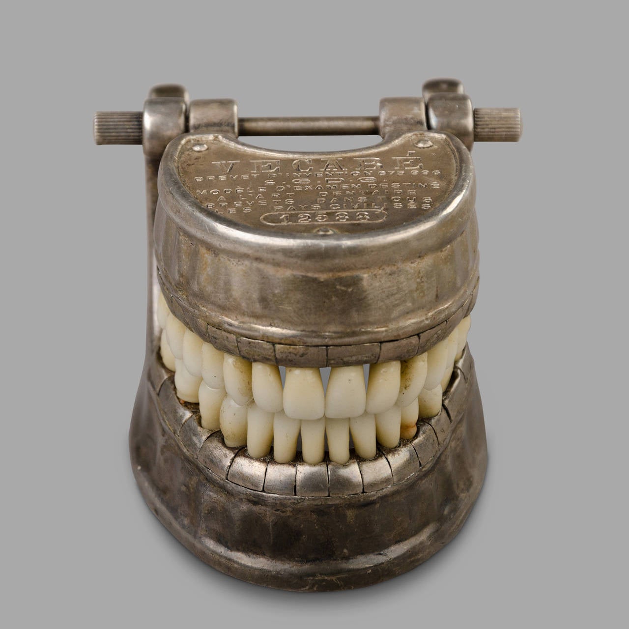 French Vecabe Dental Model 1