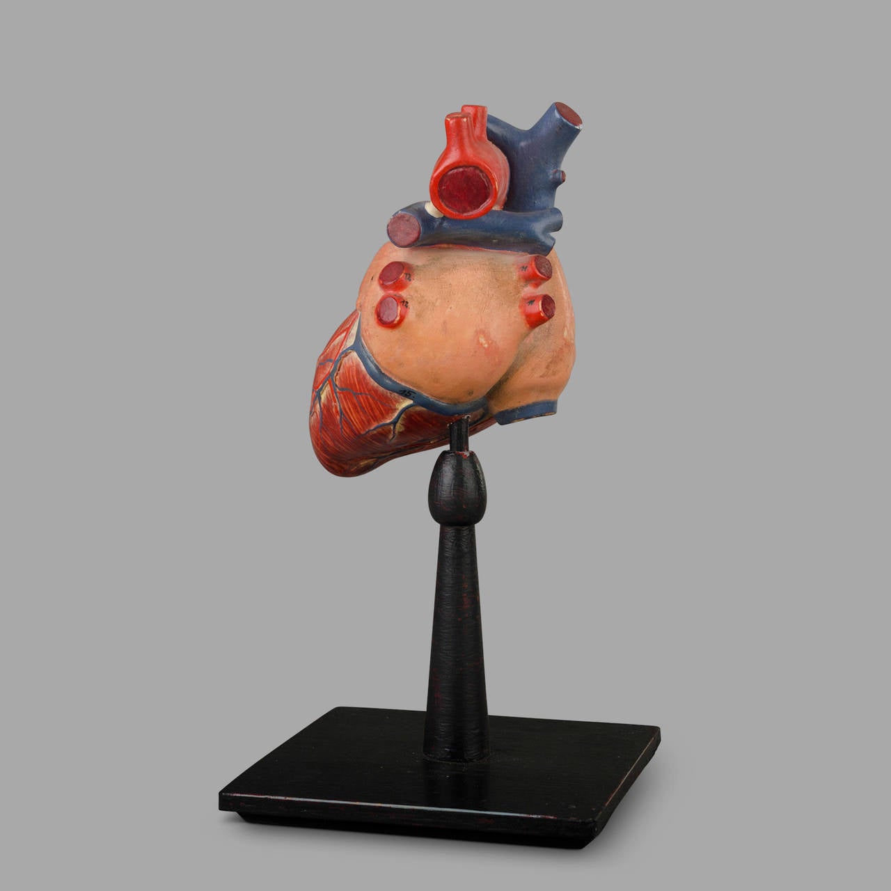 Anatomical Model of the Human Heart In Good Condition In Saint-Ouen, FR