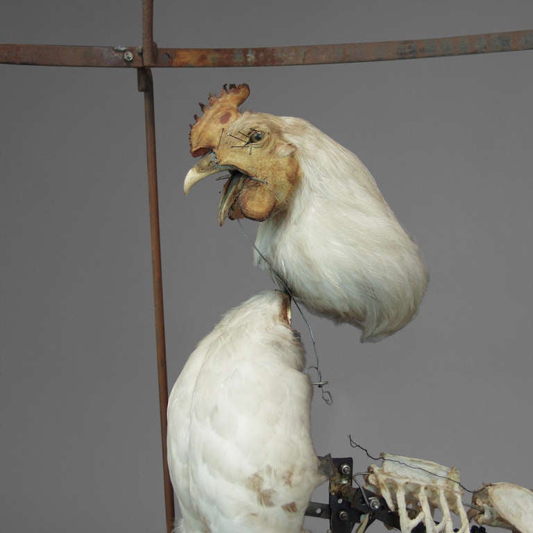 'Le Coq' Sculpture Automaton by Gilbert Peyre In Excellent Condition For Sale In Saint-Ouen, FR