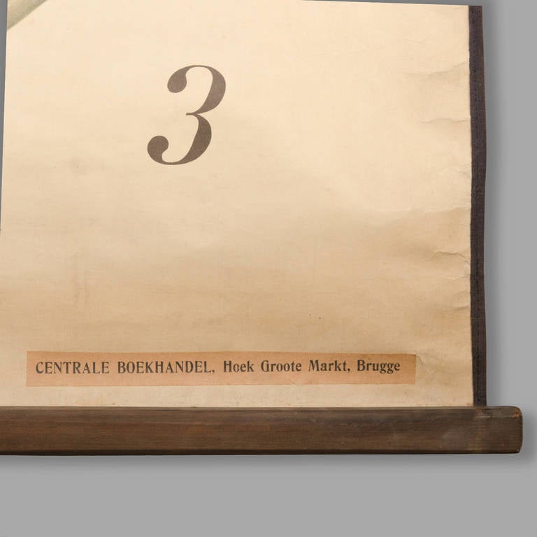 20th Century Educational Zoology Board by Dr Paul Pfurtscheller