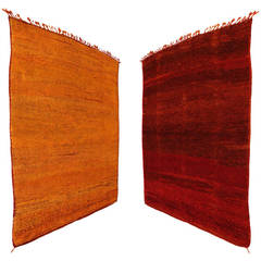 Wonderfully warm colored double sided Rug