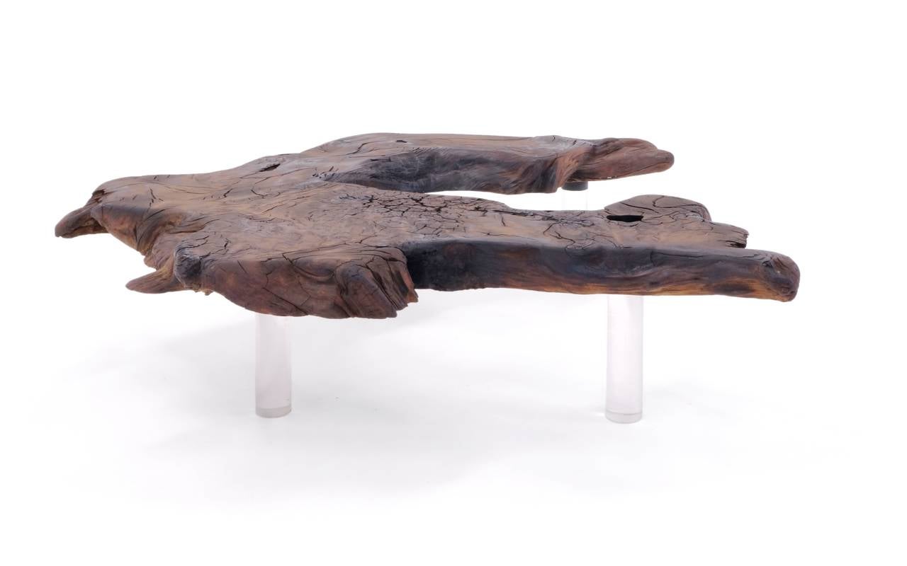Mid-Century Modern Walnut Slab Coffee Table, Biomorphic Shape with Lucite Legs