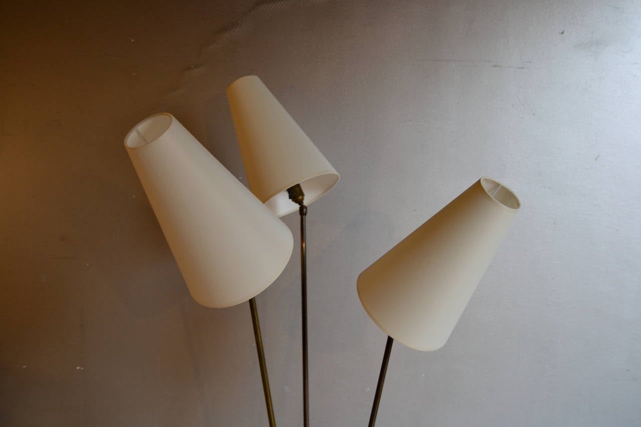 1950s Floor Lamp Designed by Arlus 1