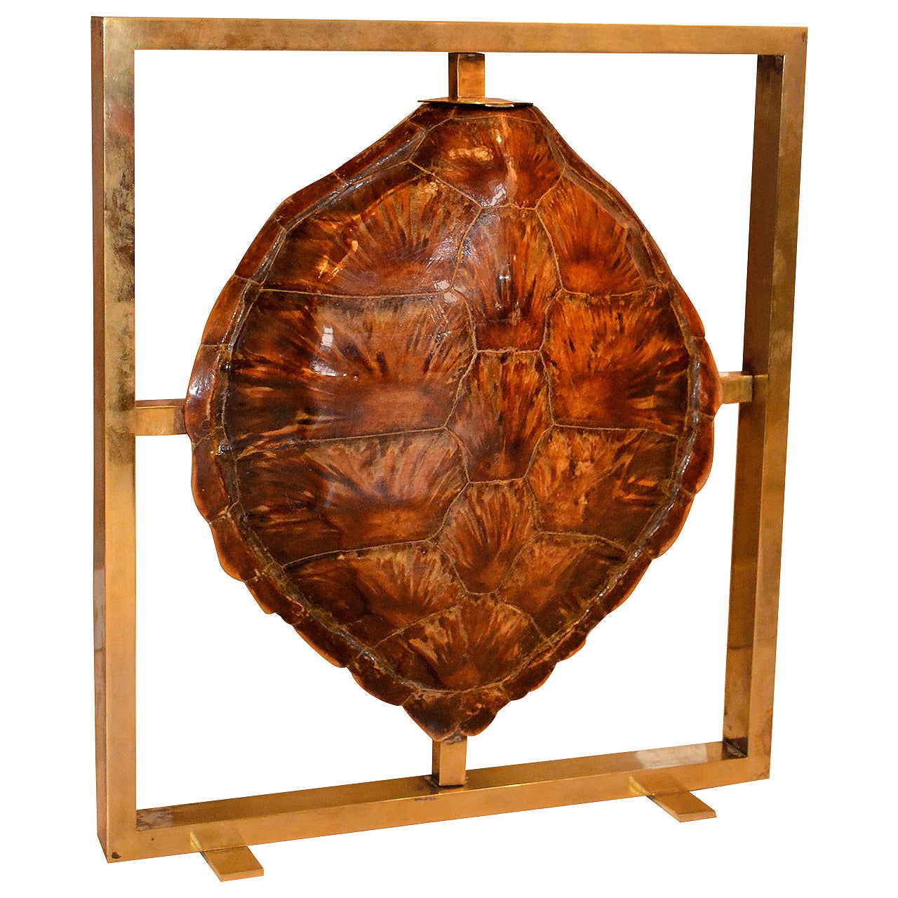 1970s Turtle Shell Lamp