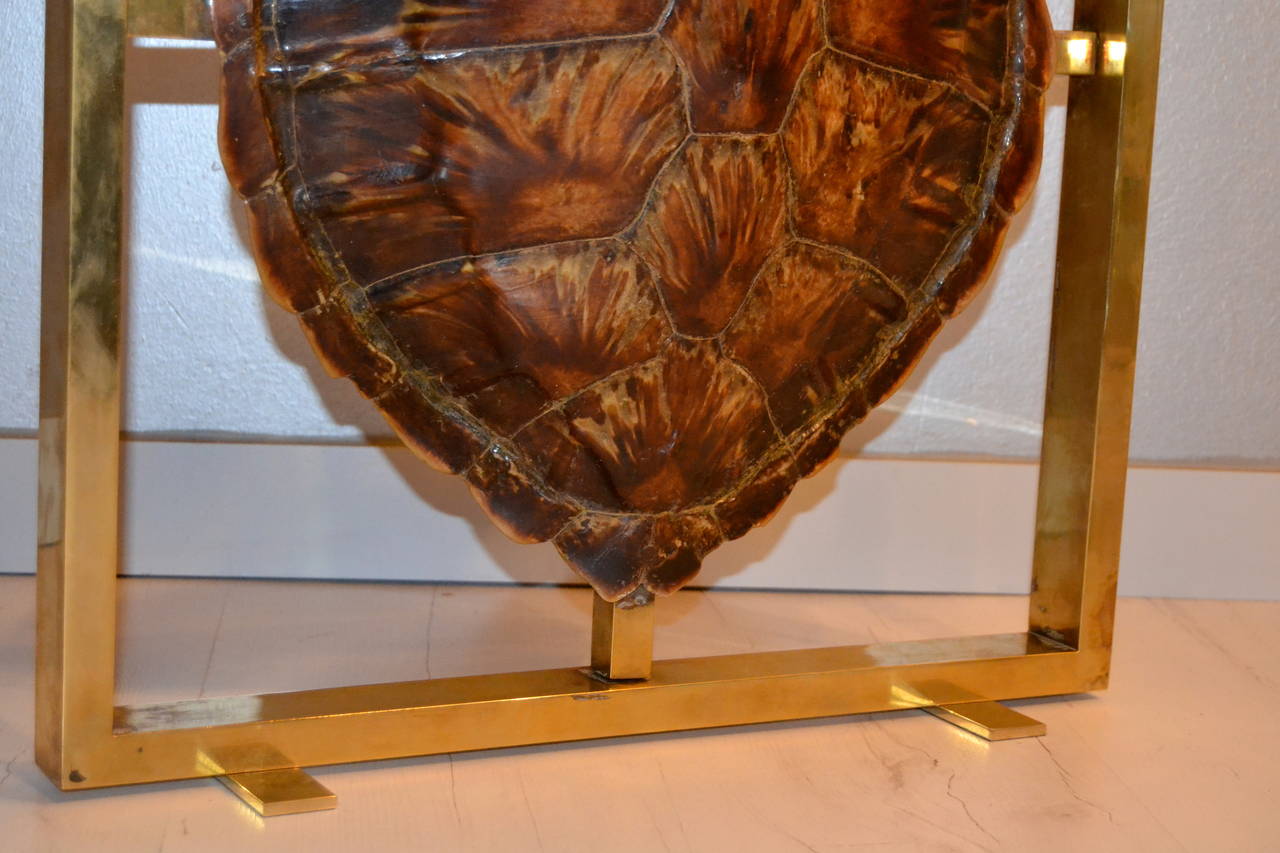 French 1970s Turtle Shell Lamp