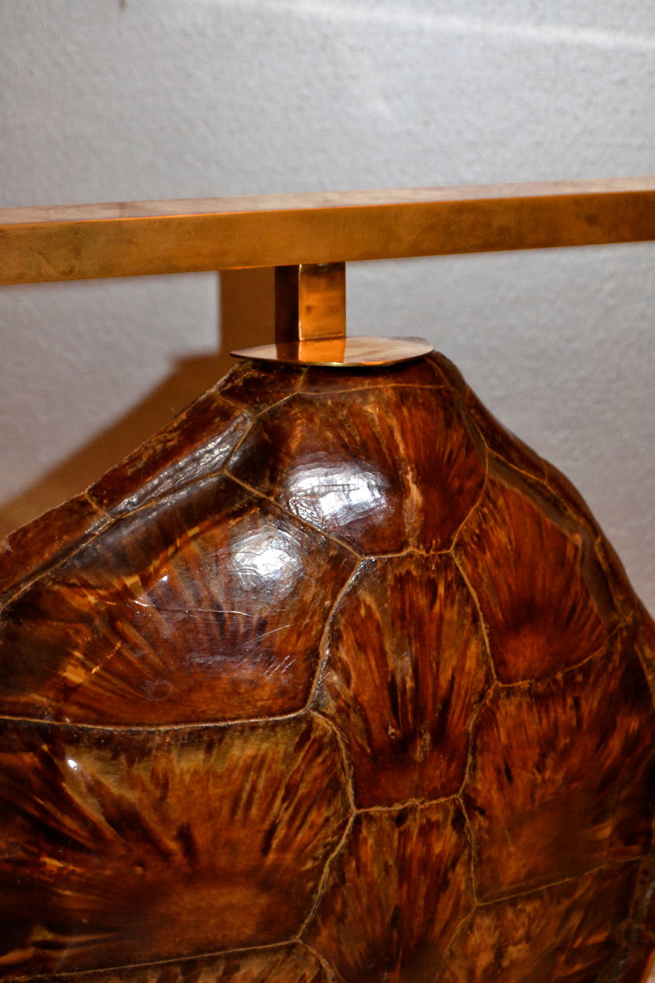 Late 20th Century 1970s Turtle Shell Lamp