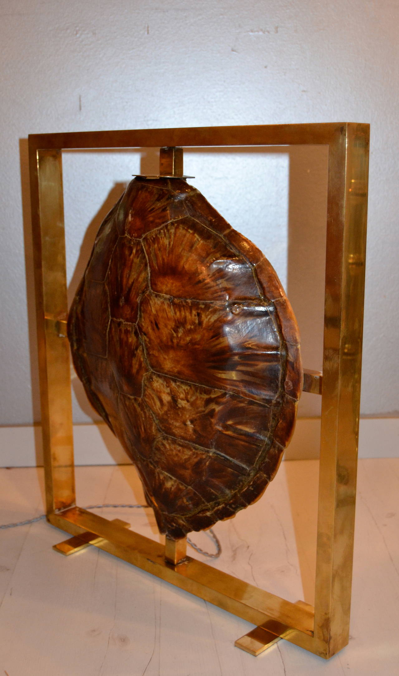 Metal 1970s Turtle Shell Lamp