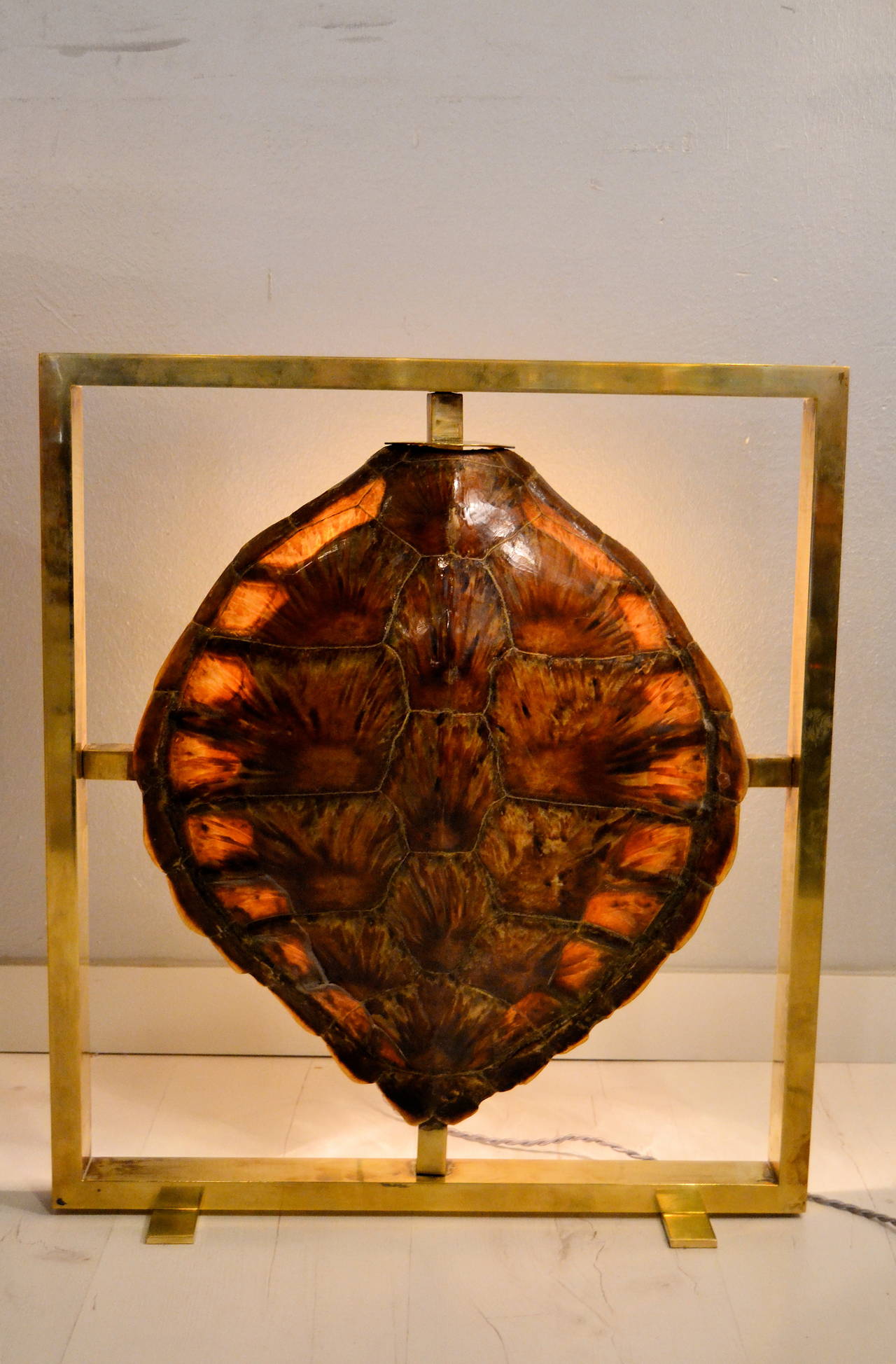 1970s Turtle Shell Lamp 1