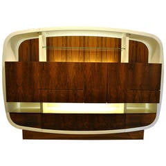 Rare Space-Age Fiberglass and Rosewood Highboard or Credenza, France, circa 1970