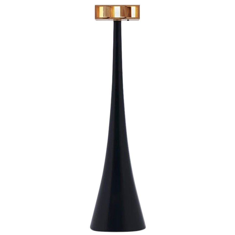 Unique Korean Black Lacquer Floor Lamp by Bahk Jong Sun, 2011 For Sale