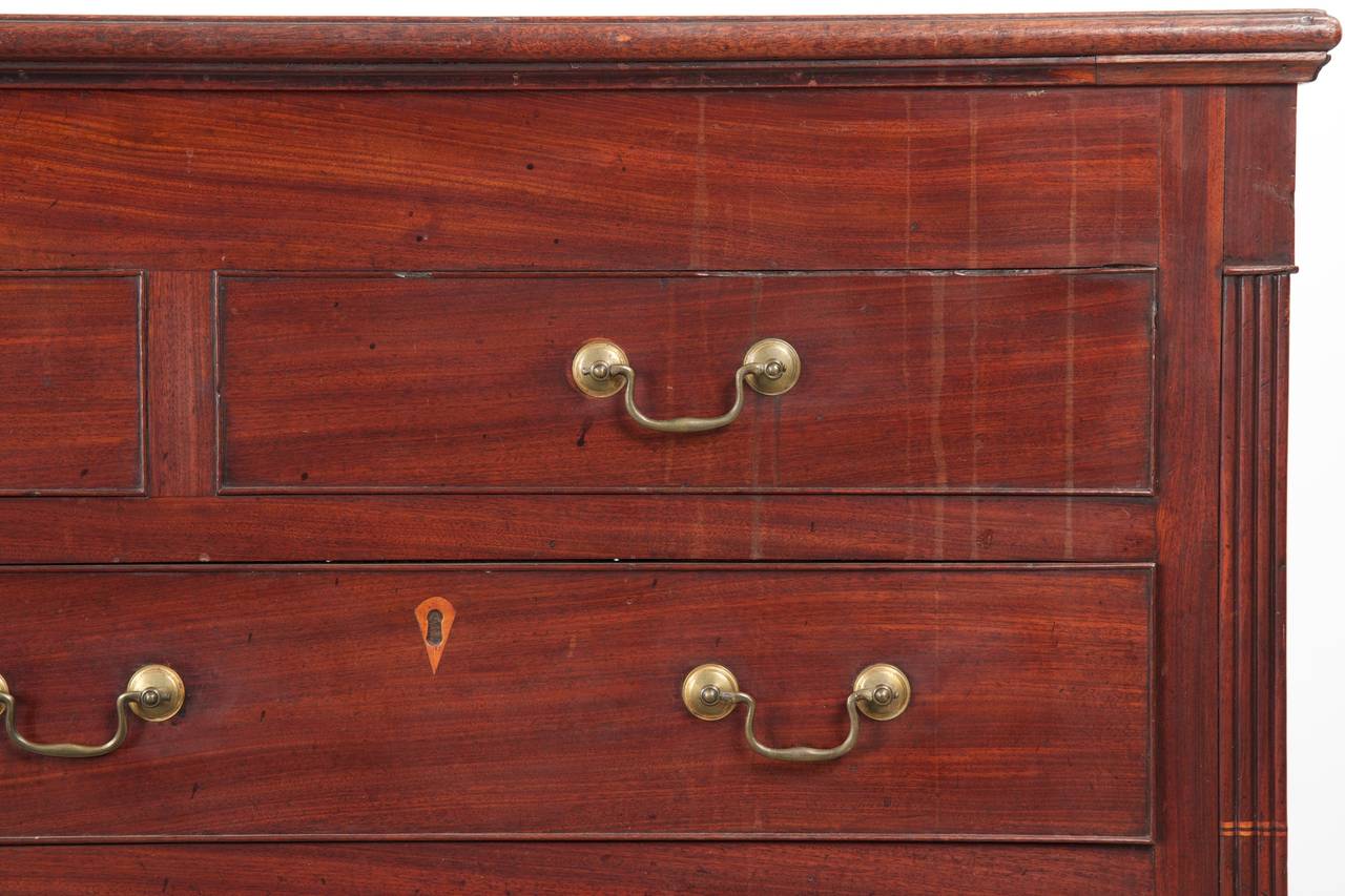 British English Georgian Mahogany Antique Mule Chest of Drawers, 19th Century