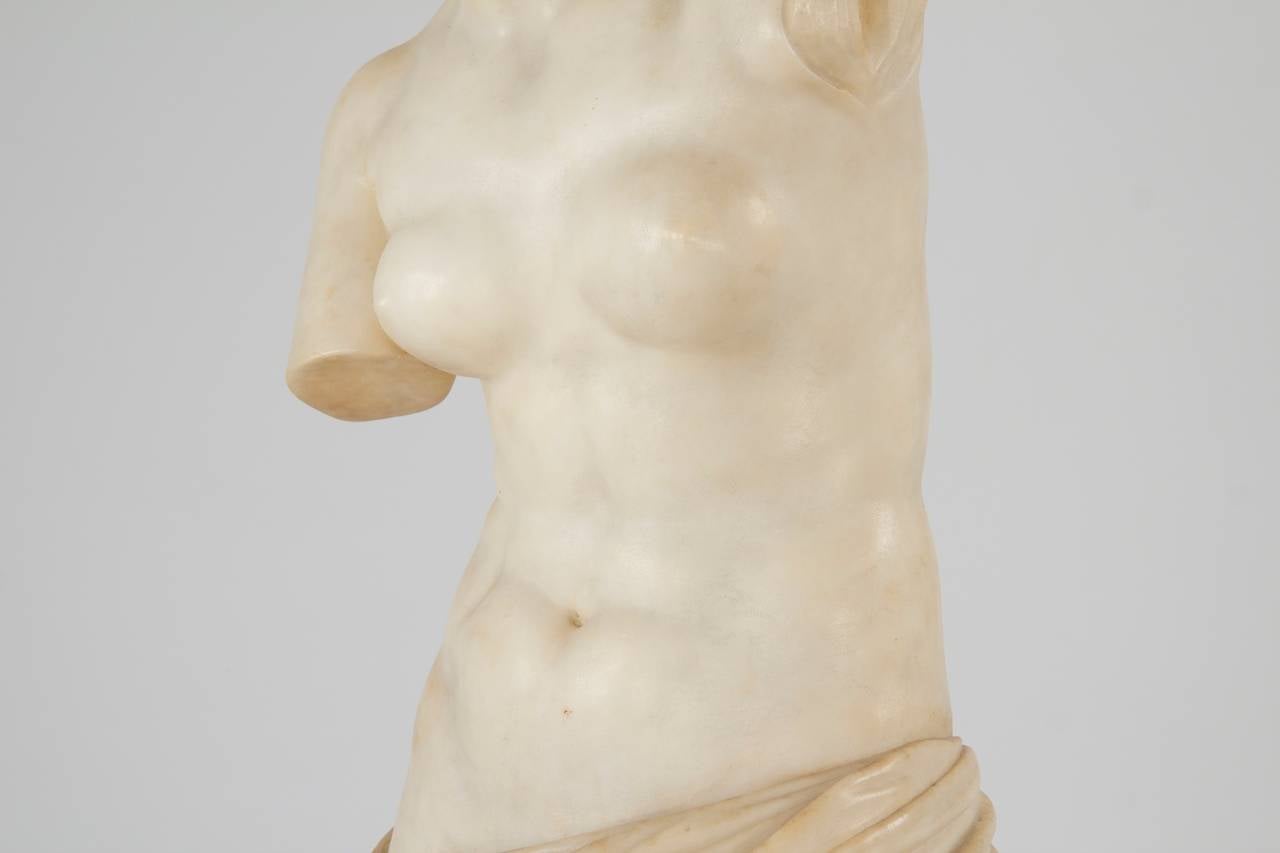 European Continental Marble Sculpture of Venus de Milo, after the Antique