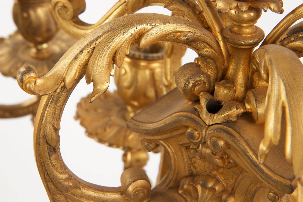 Finest Quality Pair of French Gilt Bronze Six-Light Antique Candelabra In Excellent Condition In Shippensburg, PA