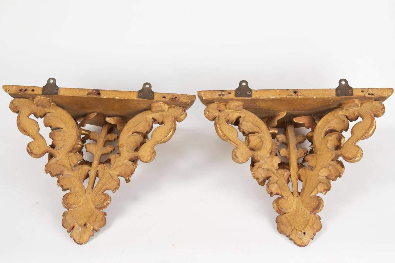 Pair of Italian Carved Giltwood Antique Wall Shelves, 19th Century 5