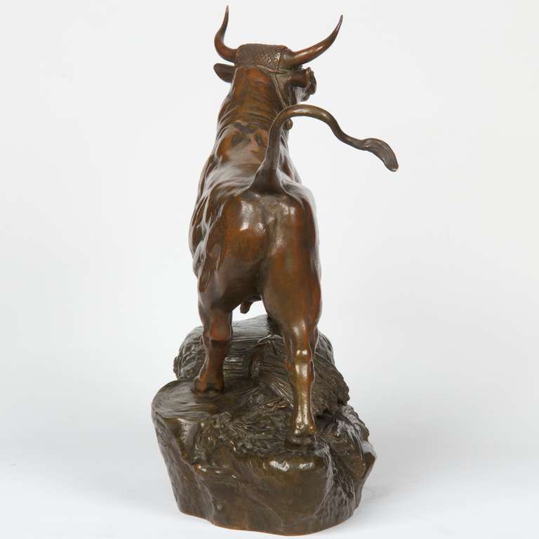 Fine Auguste Cain French Bronze Sculpture of a Bull, Susse Freres In Excellent Condition In Shippensburg, PA