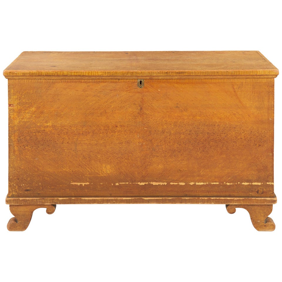 American Antique Ochre Painted Blanket Chest over Scrolled Feet, Pennsylvania