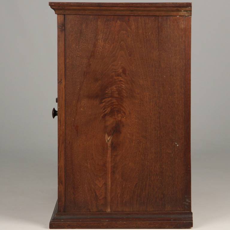 American Chippendale Walnut Cabinet Cupboard, Mid Atlantic States, 18th Century 3