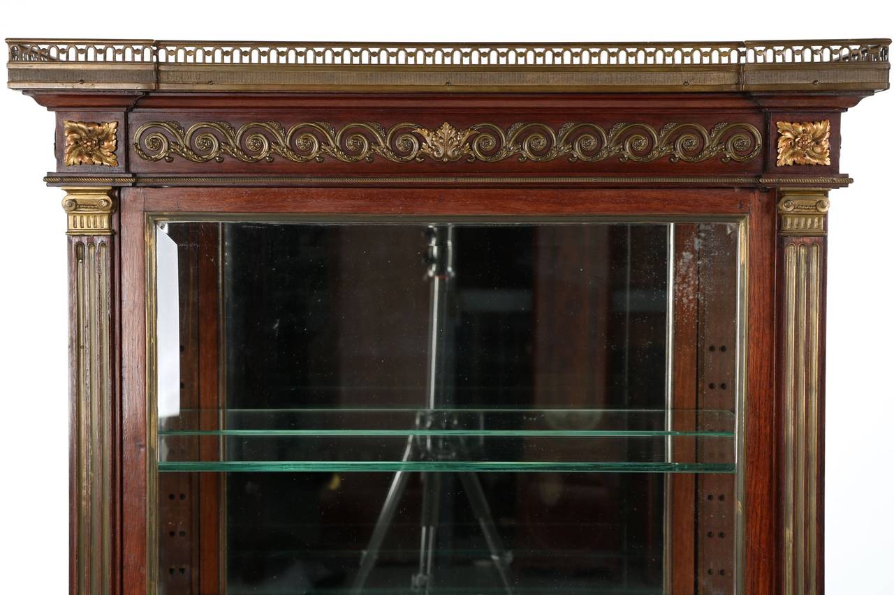 French Louis XVI Style Mahogany Gilt Bronze Vitrine Display Cabinet, circa 1900 1