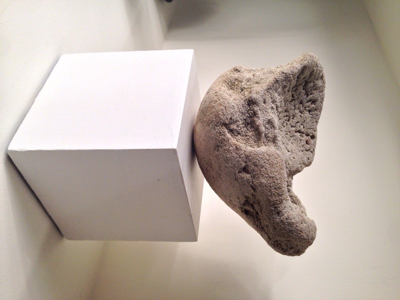 Rare fossilized whale bone from a NY estate, circa 1700.