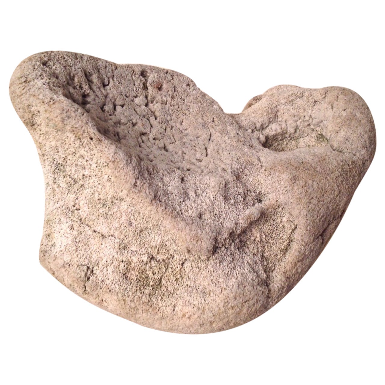 Fossilized Whale Bone Object For Sale
