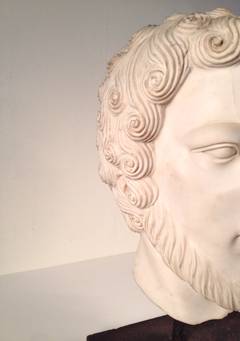 Large Carrara Marble Bust on Custom Stand