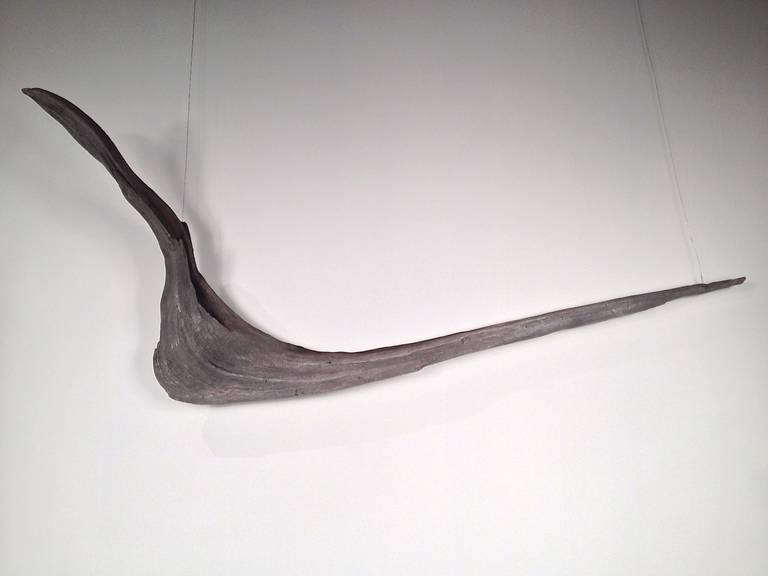 Sculptural Driftwood Form Wall Light