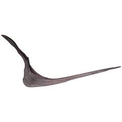 Sculptural Driftwood Form Wall Light Sculptural Driftwood Form Wall Light