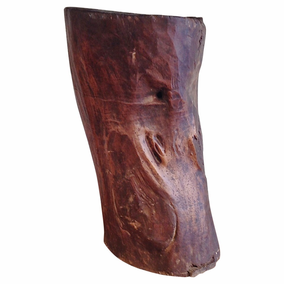 Early Hollow Tree Trunk For Sale