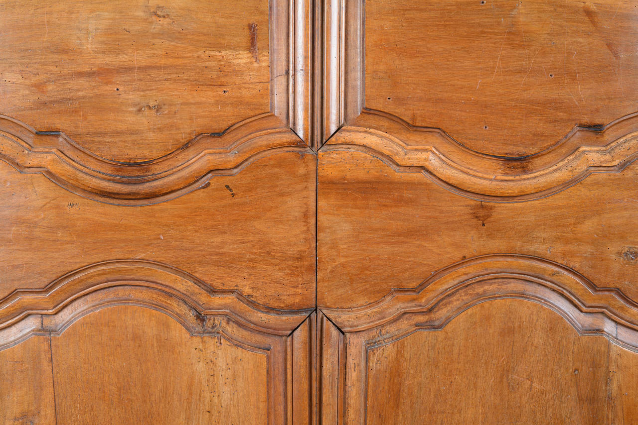 Louis XV Gun Rack Mounted on 18th Century French Doors