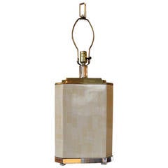 Stunning Bone, Brass, and Lucite Lamp