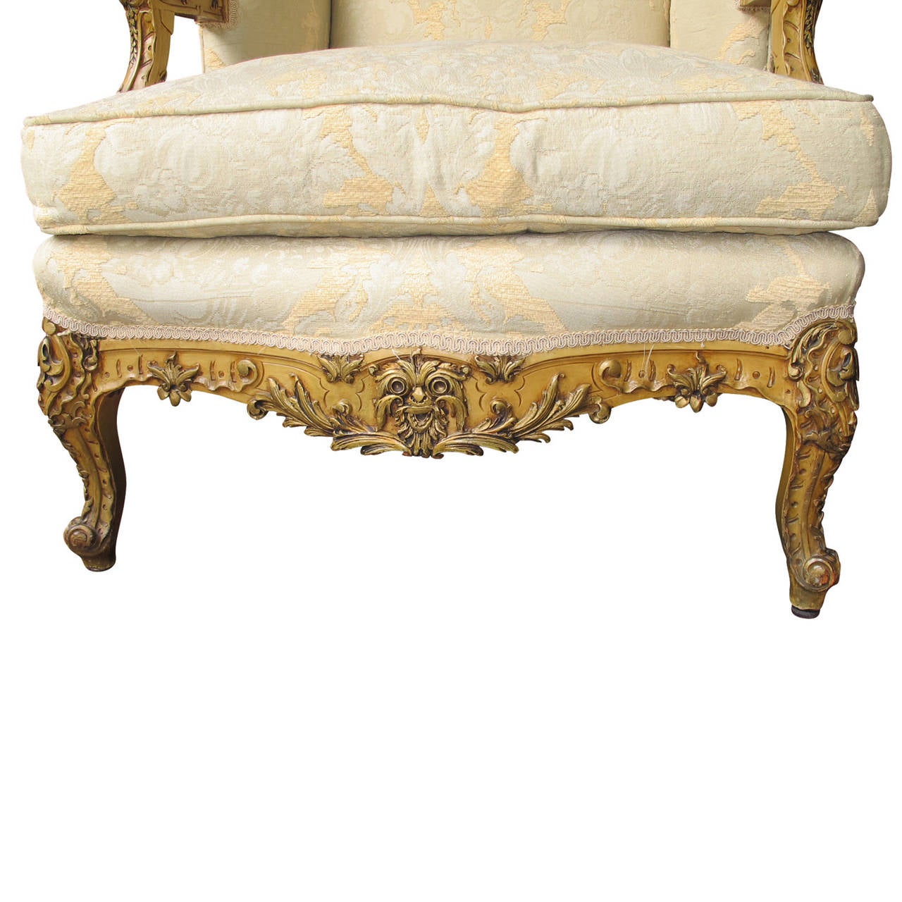 19th Century Beautiful Louis XIV Style Bergere Chair