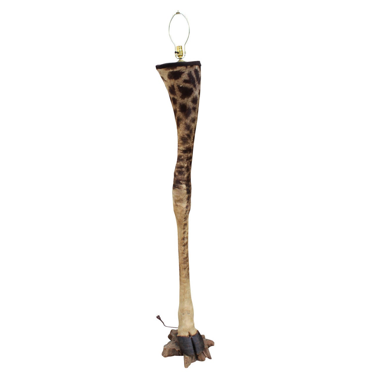Very unique mounted taxidermy giraffe leg lamp. The leg is about 50 years old and was modified into lamp more recently. The lamp parts can easily be removed if you do not want to use it as a lamp. It sits atop a piece of rustic bleached wood base.