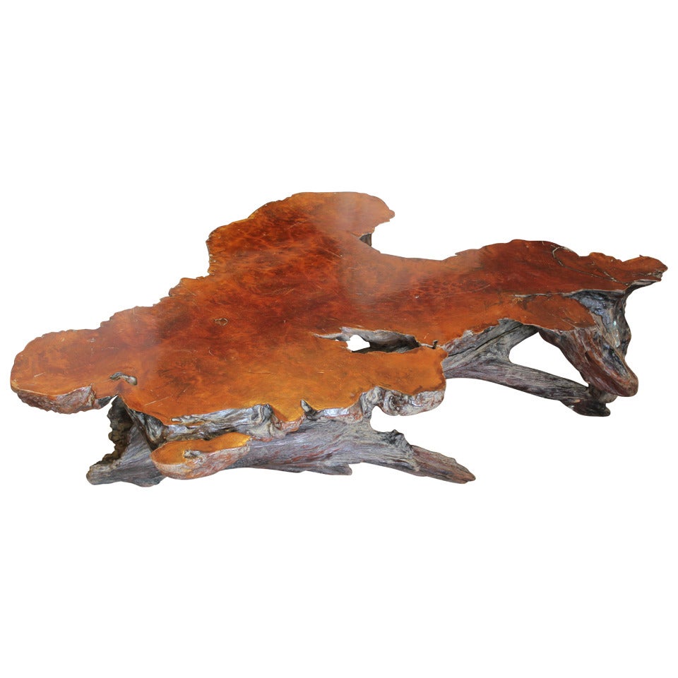 Stunning Live Edge Burl Root Table