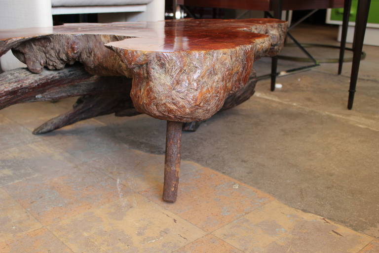 Mid-Century Modern Stunning Live Edge Burl Root Table
