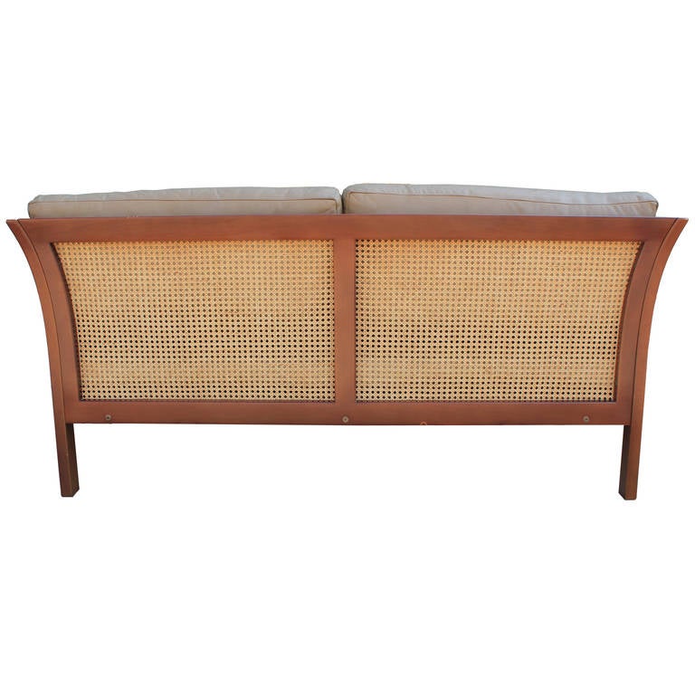 Mid-20th Century Arne Norell Leather and Cane Sofa