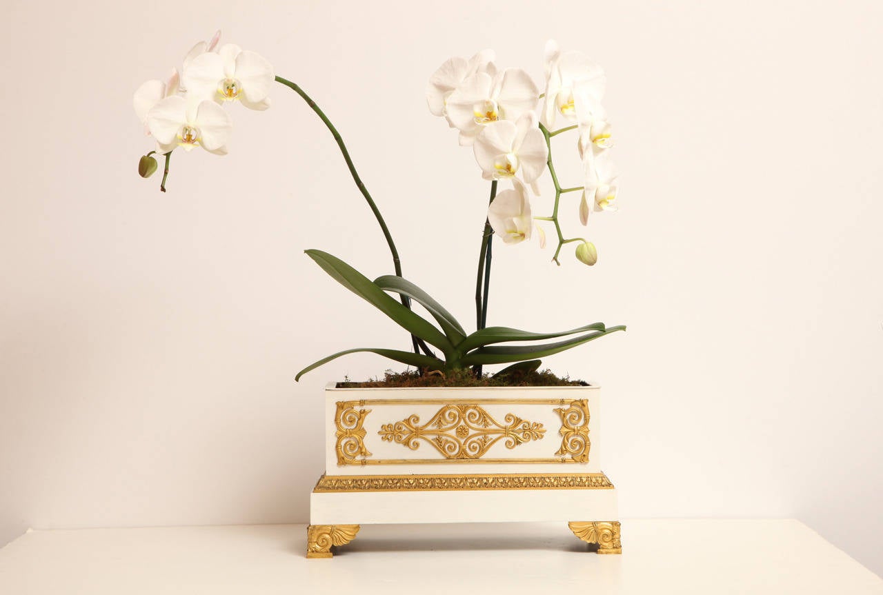 Gilt French Empire Planter, circa 1810