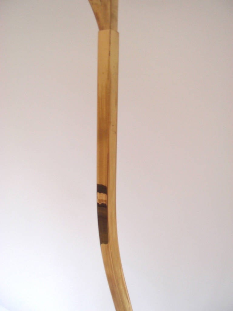 1970s Brass Leaf Floor Lamp by Tommaso Barbi 2