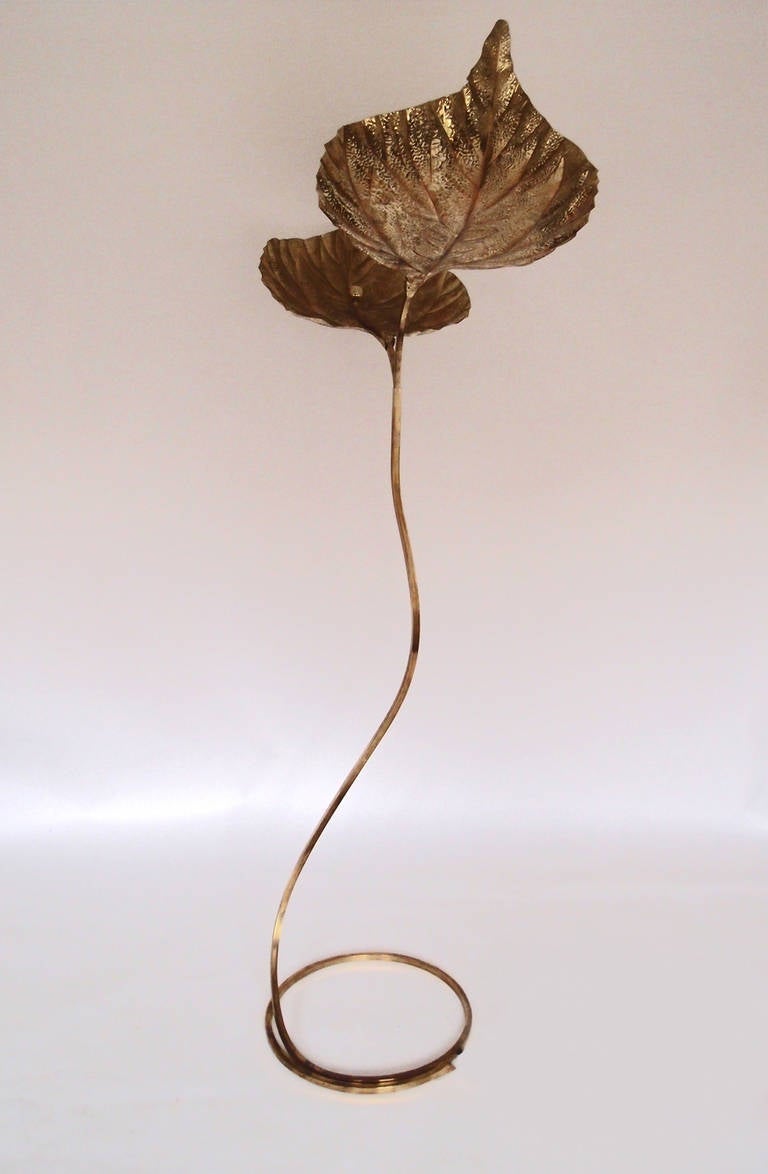 1970s Brass Leaf Floor Lamp by Tommaso Barbi 4