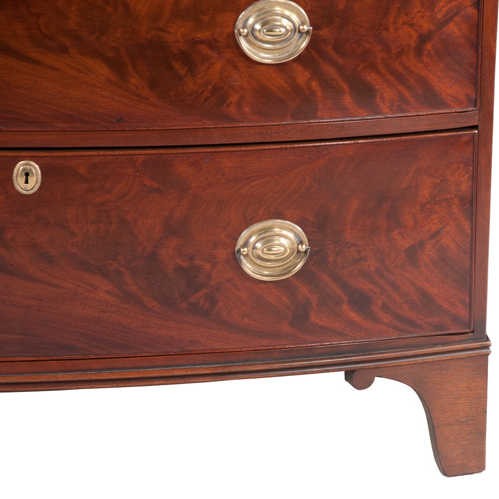 Sheraton Mahogany Bow Front Chest In Good Condition In Lawrenceburg, TN