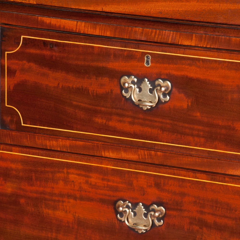 Chippendale Mahogany Linen Press In Good Condition For Sale In Lawrenceburg, TN