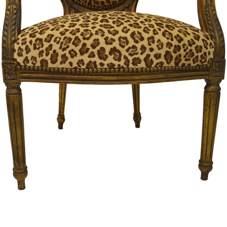 Pair of Animal Print Louis XVI Armchairs In Excellent Condition For Sale In Lawrenceburg, TN