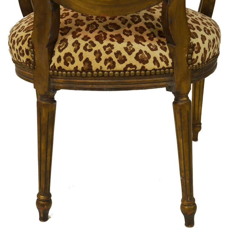 Wood Pair of Animal Print Louis XVI Armchairs For Sale