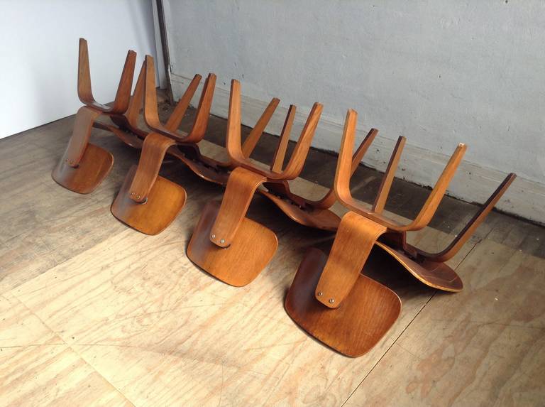 Mid-20th Century Set of Four DCWs by Charles Eames for Herman Miller