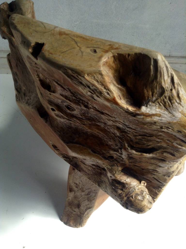 Exceptional Redwood Burl Chair with Free Edge 1