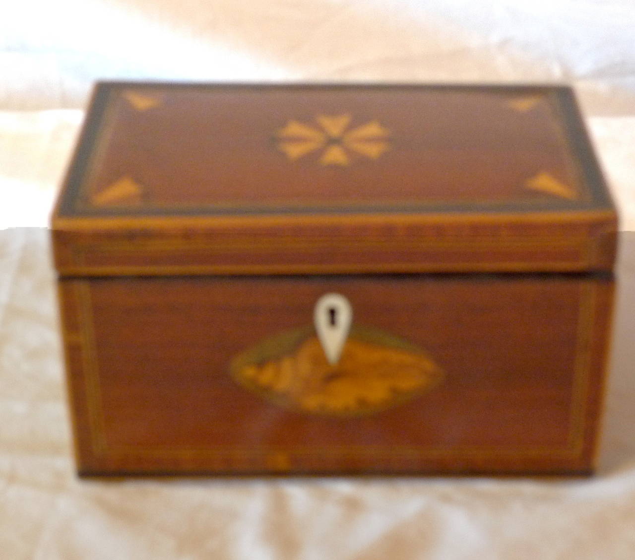 English 19th century rosewood tea-caddy, shell inlay and ivory embellishment.